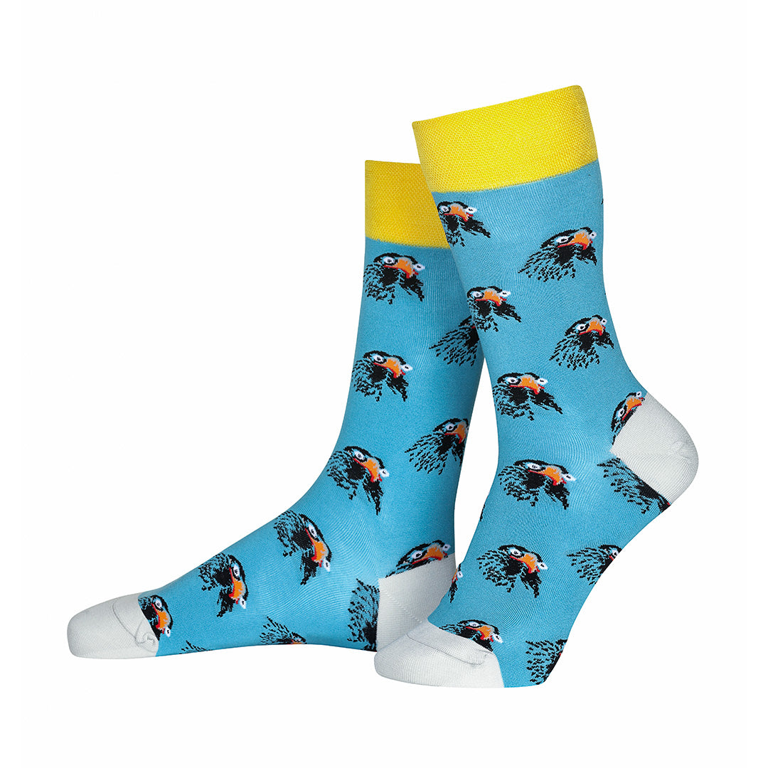 Quirky socks online