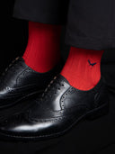 Solid & Stripes - Pack of 2 (Scarlet Rush + Red & Navy Stripes)